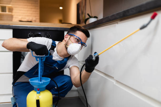 Best Local Pest Control Services  in Fairlea, WV