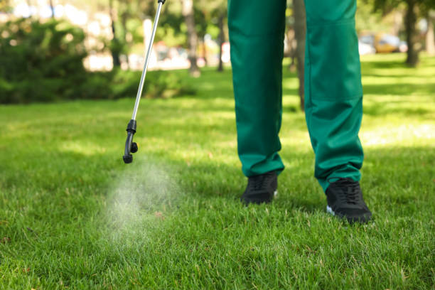 Best Best Pest Control Companies  in Fairlea, WV