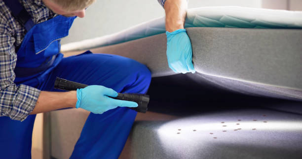 Best Pest Control Near Me  in Fairlea, WV