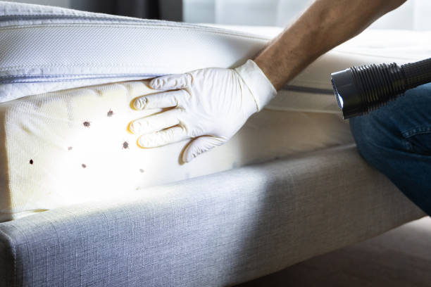 Best Emergency Pest Control  in Fairlea, WV