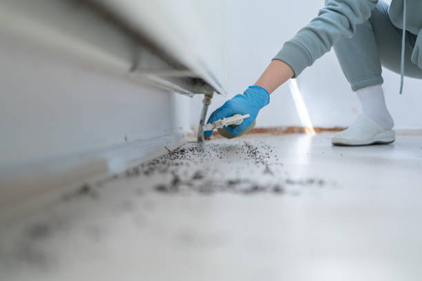 Best Best Pest Control Companies  in Fairlea, WV